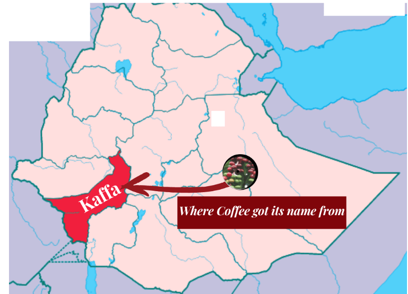 Map of Ethiopian highlighting Kaffa province